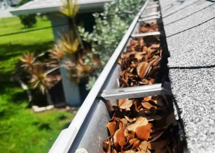Altamont gutter cleaning home page